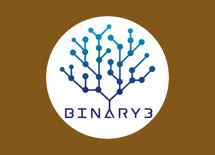 Binary3